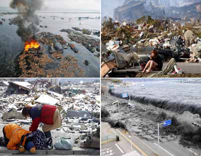 dezastre ecologice fukushima