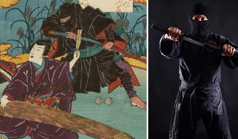 ninja origine istorie